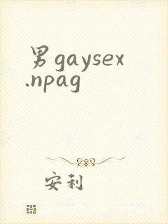 男gaysex.npag