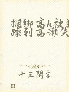 捆绑高h被狂c躁到高潮失禁视频封面