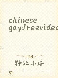chinesegayfreevideoporn