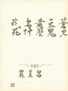 我名黄天苍天已死什么鬼免费封面