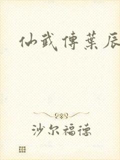 仙武传叶辰小说封面