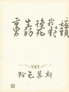 重生后我嫁给渣男的死对头