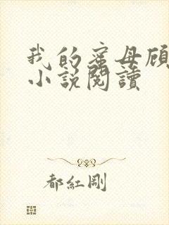 我的蜜母顾婉如小说阅读