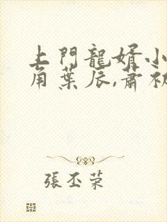 上门龙婿小说主角叶辰,萧初然封面