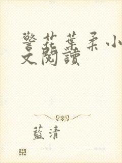 警花叶柔小说全文阅读