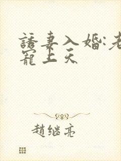 诱妻入婚:老公宠上天