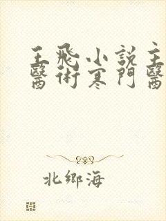 王飞小说主角会医术寒门医仙笔趣阁封面