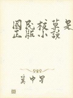 国民校草是女生正版小说