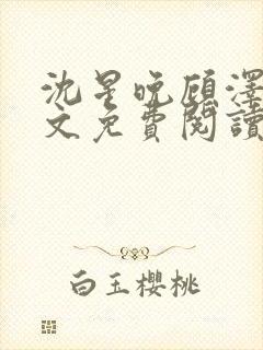 沈星晚顾泽轩全文免费阅读笔趣阁封面