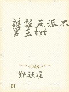 谁说反派不能当男主txt