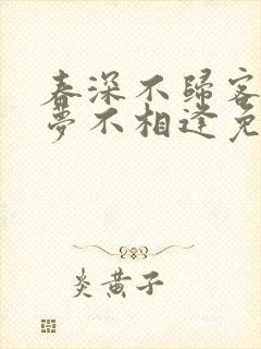春深不归客,清梦不相逢免费阅读封面