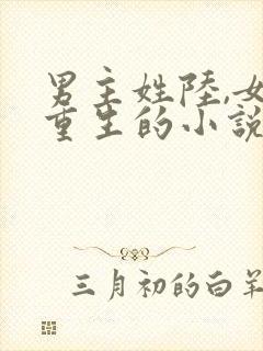 男主姓陆,女主重生的小说