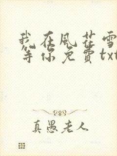 我在风花雪月里等你免费txt下载
