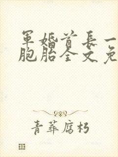 军婚首长一婚三胞胎全文免费阅读