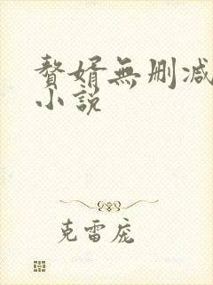 赘婿无删减全集小说