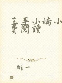 王平小娇小说免费阅读