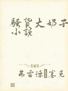 骚货大奶子言情小说封面