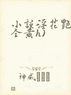 小说淫花艳史(全黄h)