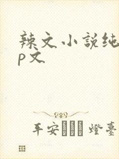 辣文小说纯肉np文