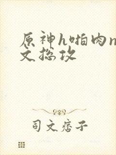 原神h啪肉np文总攻