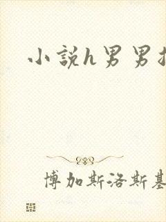 小说h男男总受