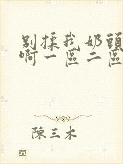 别揉我奶头～嗯啊一区二区