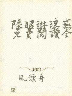 陆昭琳琅燕临君免费阅读全文最新章