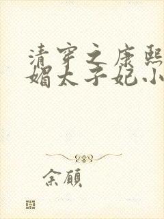 清穿之康熙的娇媚太子妃小说