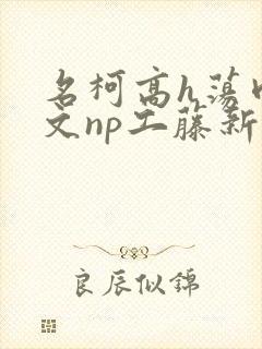 名柯高h荡肉爽文np工藤新一