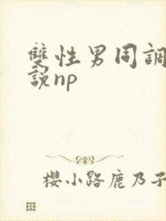 双性男同调教小说np