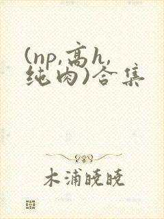 (np,高h,纯肉)合集