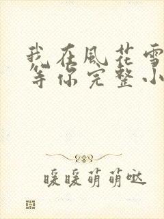 我在风花雪月里等你完整小说