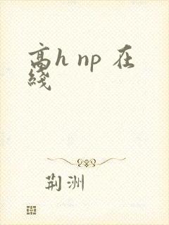 高h np 在线