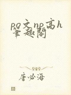 po文np高h笔趣阁