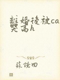 离婚后被cao哭高h