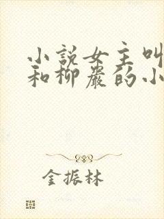 小说女主叫小九和柳岩的小说