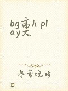 bg高h play文