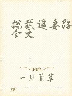 总裁追妻路漫漫全文