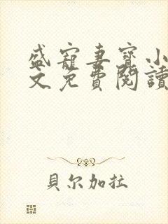 盛宠妻宝小说全文免费阅读