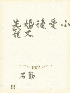 先婚后爱小说甜宠文
