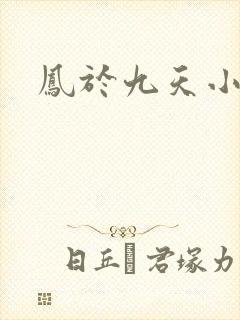 凤于九天小说全