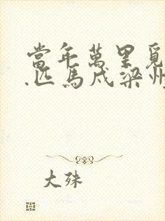 当年万里觅封侯.匹马戍梁州