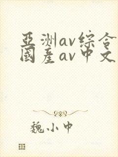 亚洲av综合a国产av中文
