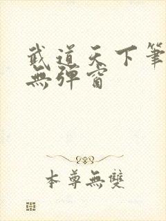 武道天下笔趣阁无弹窗封面