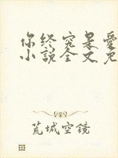 你终究是爱我的小说全文免费阅读