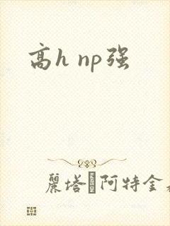 高h np强