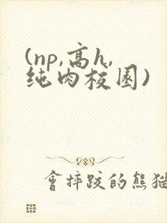 (np,高h,纯肉校园)