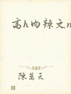 高h肉辣文np