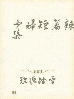 少妇短篇辣文合集
