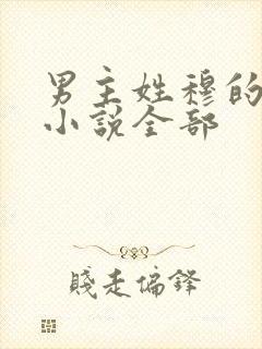 男主姓穆的古代小说全部